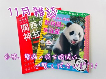 １１月雑誌ご紹介♪